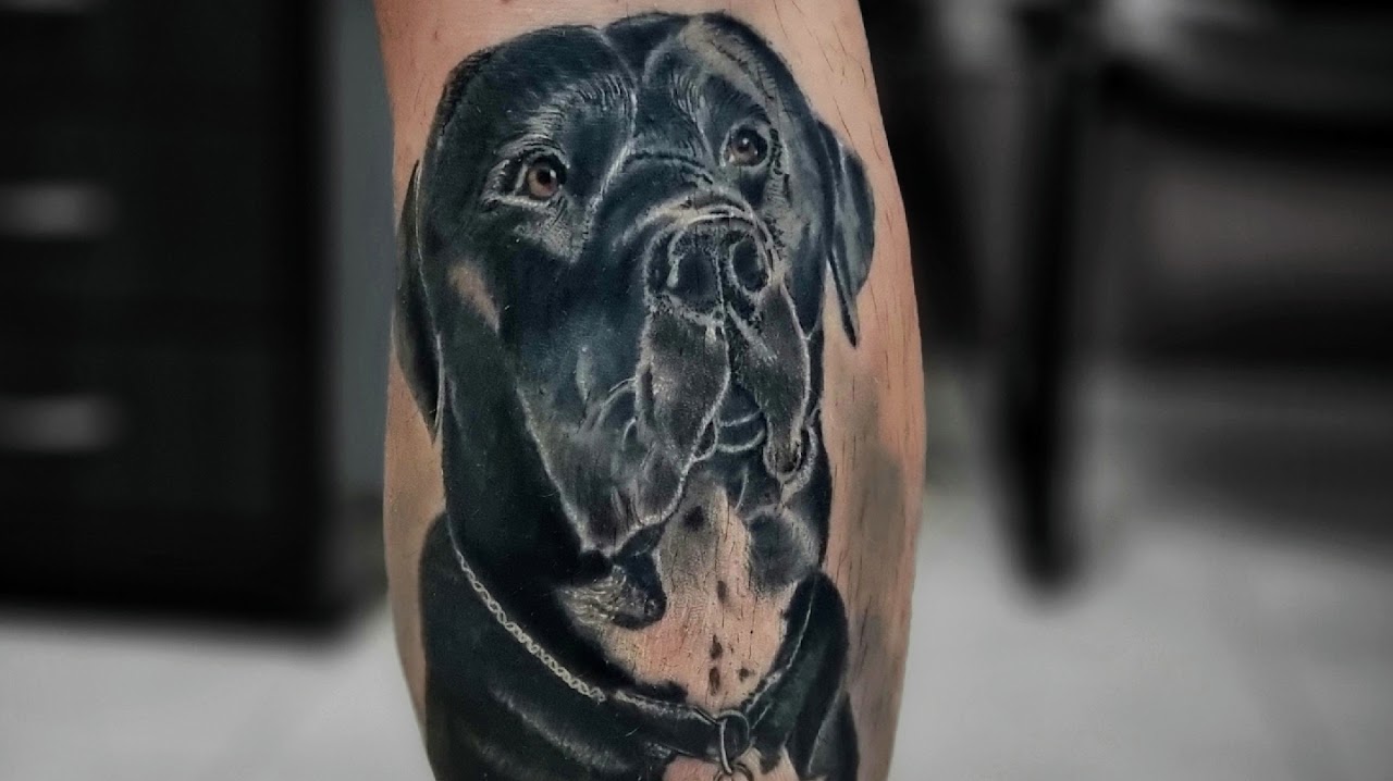 Hyper-realistic dog portrait tattoo on forearm